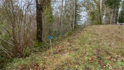 0 SE Olympiad Dr , Port Orchard, WA 98366 - Photo 10