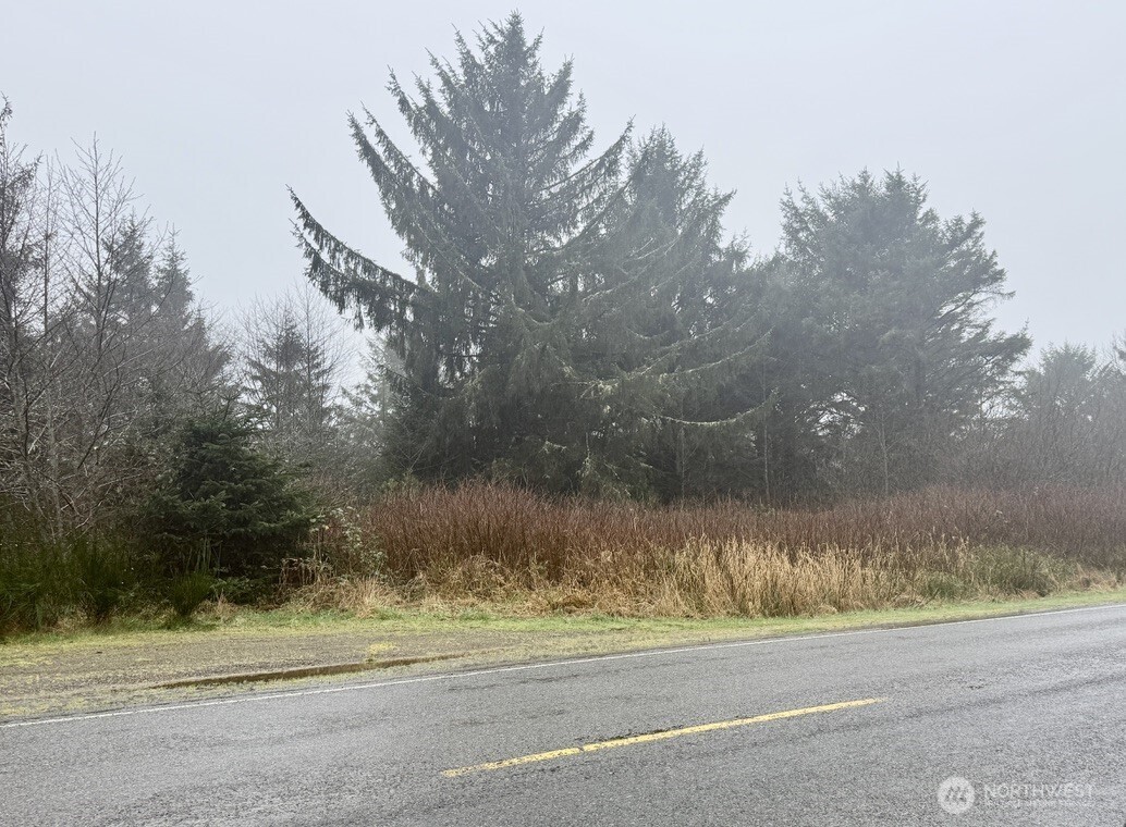 0 xx Damon Road , Ocean Shores, WA 98569