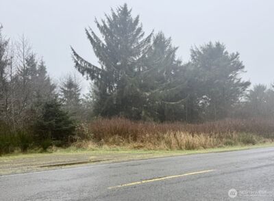 0 xx Damon Road , Ocean Shores, WA 98569 - Photo 7
