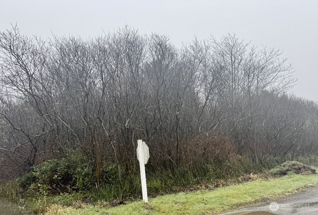 0 xx Damon Road , Ocean Shores, WA 98569