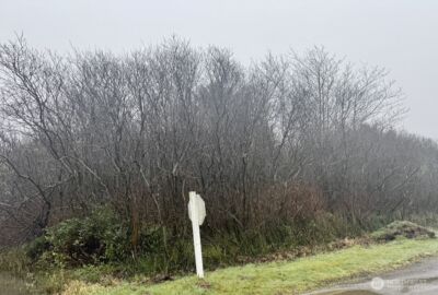 0 xx Damon Road , Ocean Shores, WA 98569 - Photo 8