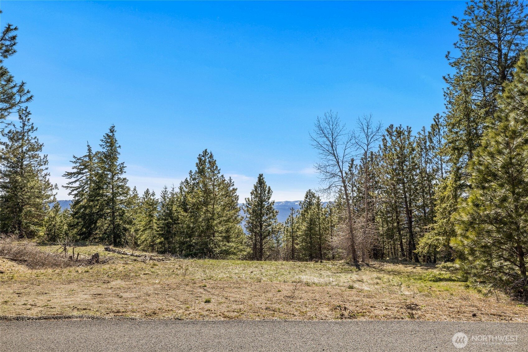 80 Forest Ridge (Lot 80) Drive , Cle Elum, WA 98922