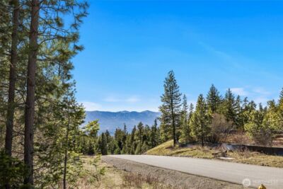 80 Forest Ridge (Lot 80) Drive , Cle Elum, WA 98922 - Photo 2