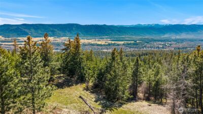 80 Forest Ridge (Lot 80) Drive , Cle Elum, WA 98922 - Photo 25