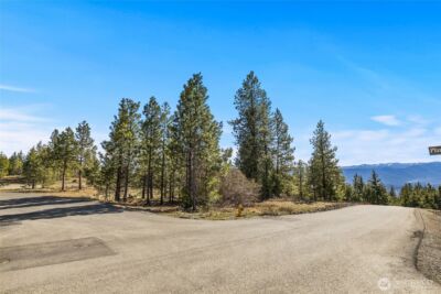 80 Forest Ridge (Lot 80) Drive , Cle Elum, WA 98922 - Photo 3