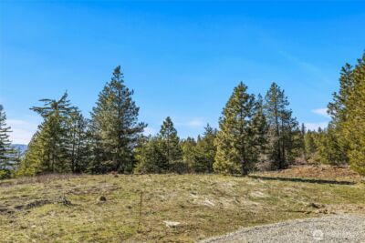 80 Forest Ridge (Lot 80) Drive , Cle Elum, WA 98922 - Photo 4