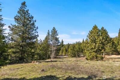 80 Forest Ridge (Lot 80) Drive , Cle Elum, WA 98922 - Photo 5