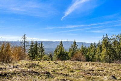 81 Forest Ridge (Lot 81) Drive , Cle Elum, WA 98922 - Photo 1