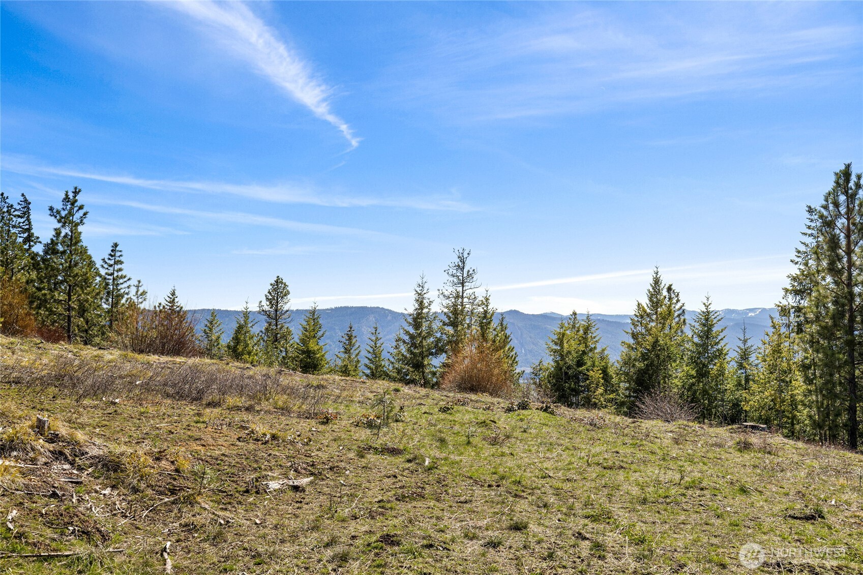 81 Forest Ridge (Lot 81) Drive , Cle Elum, WA 98922