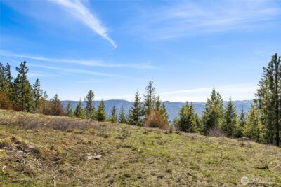 81 Forest Ridge (Lot 81) Drive , Cle Elum, WA 98922 - Photo 3