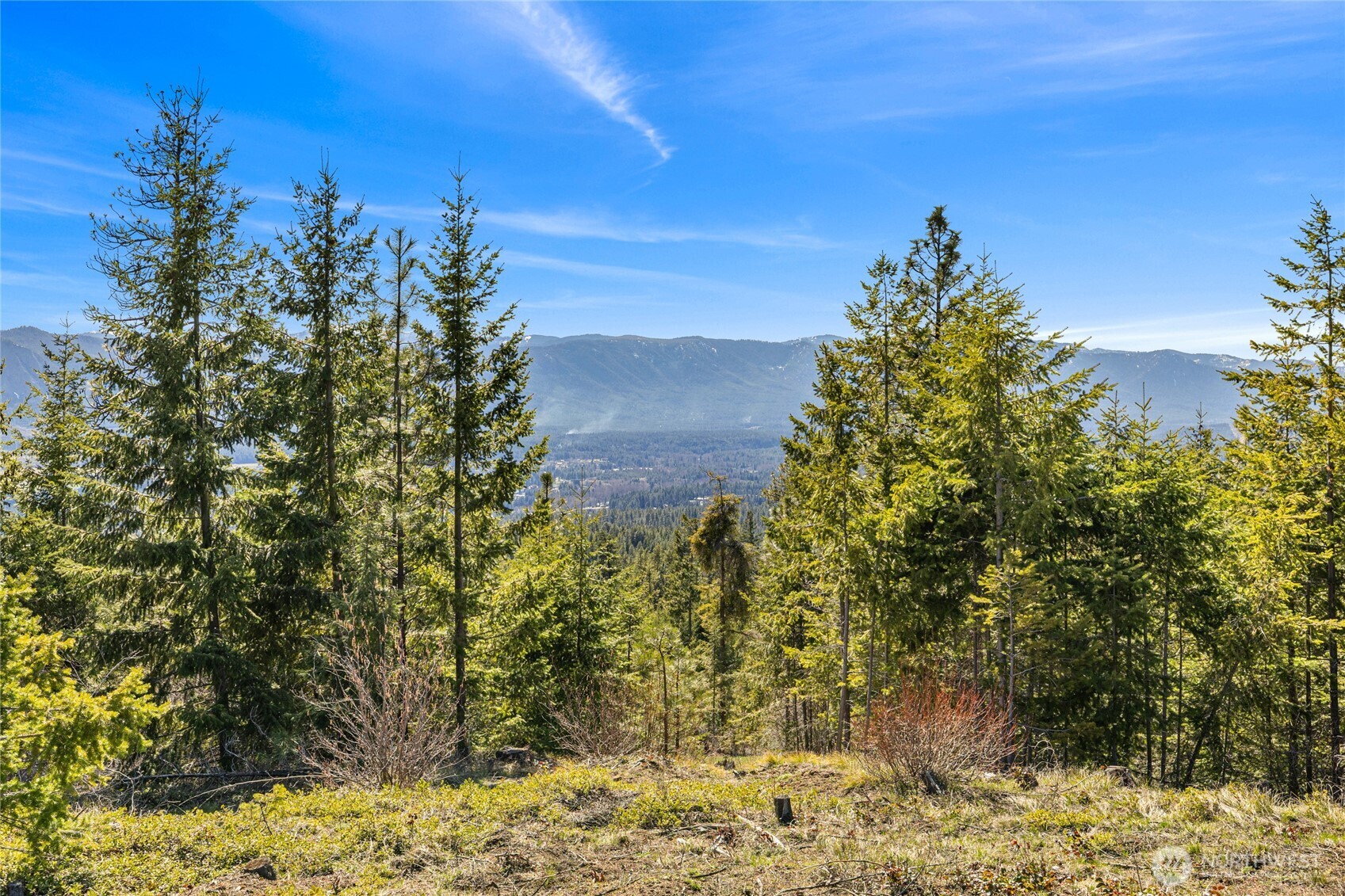 81 Forest Ridge (Lot 81) Drive , Cle Elum, WA 98922