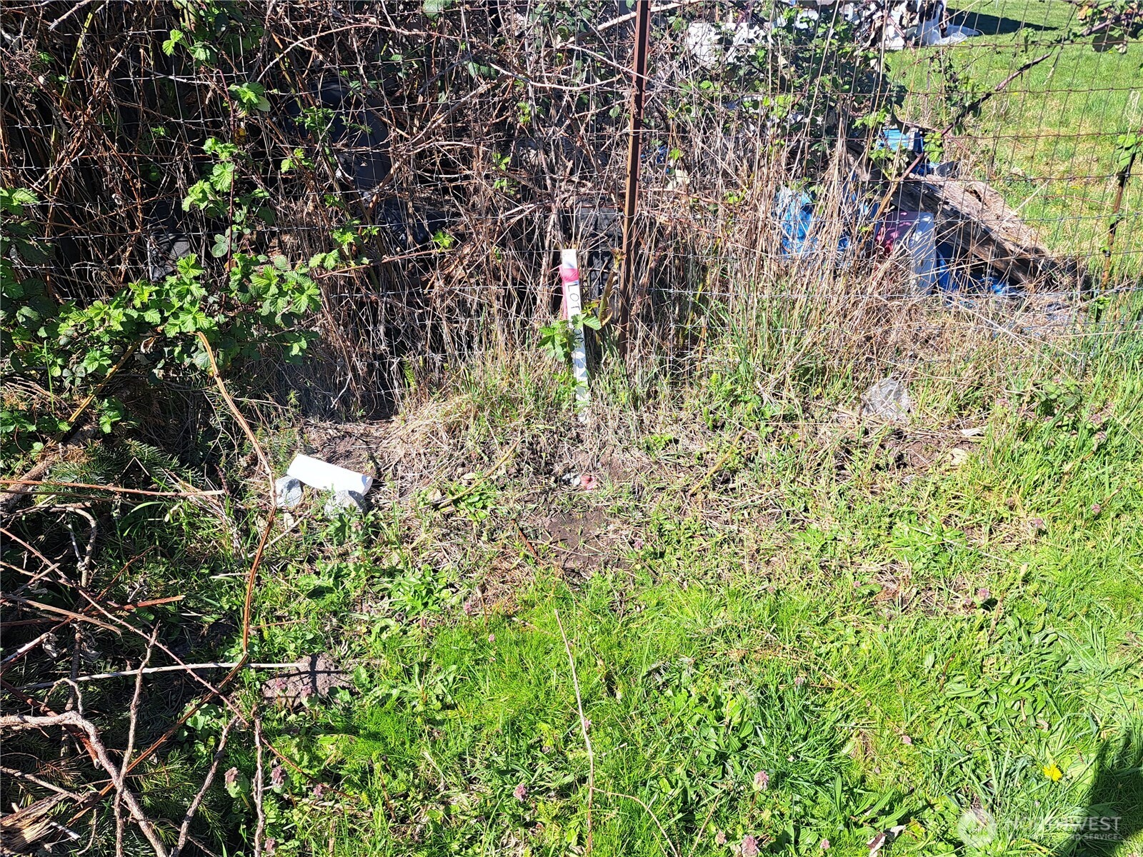 1105 W Pioneer Avenue , Puyallup, WA 98371