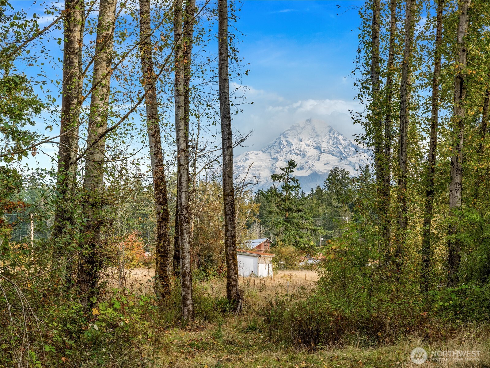 26202 110th Avenue E, Graham, WA 98338