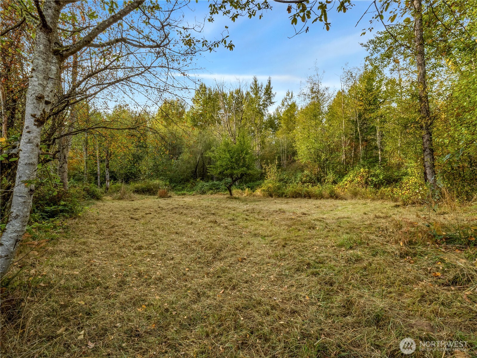 26202 110th Avenue E, Graham, WA 98338