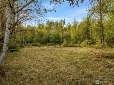 26202 110th Avenue E, Graham, WA 98338 - Photo 15