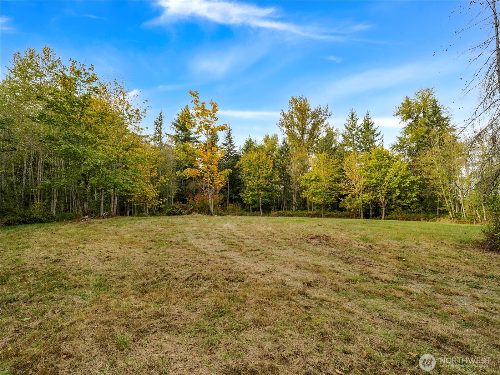 26202 110th Avenue E, Graham, WA 98338
