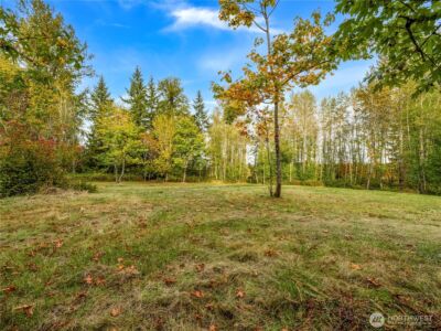 26202 110th Avenue E, Graham, WA 98338 - Photo 25