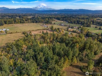 26202 110th Avenue E, Graham, WA 98338 - Photo 9