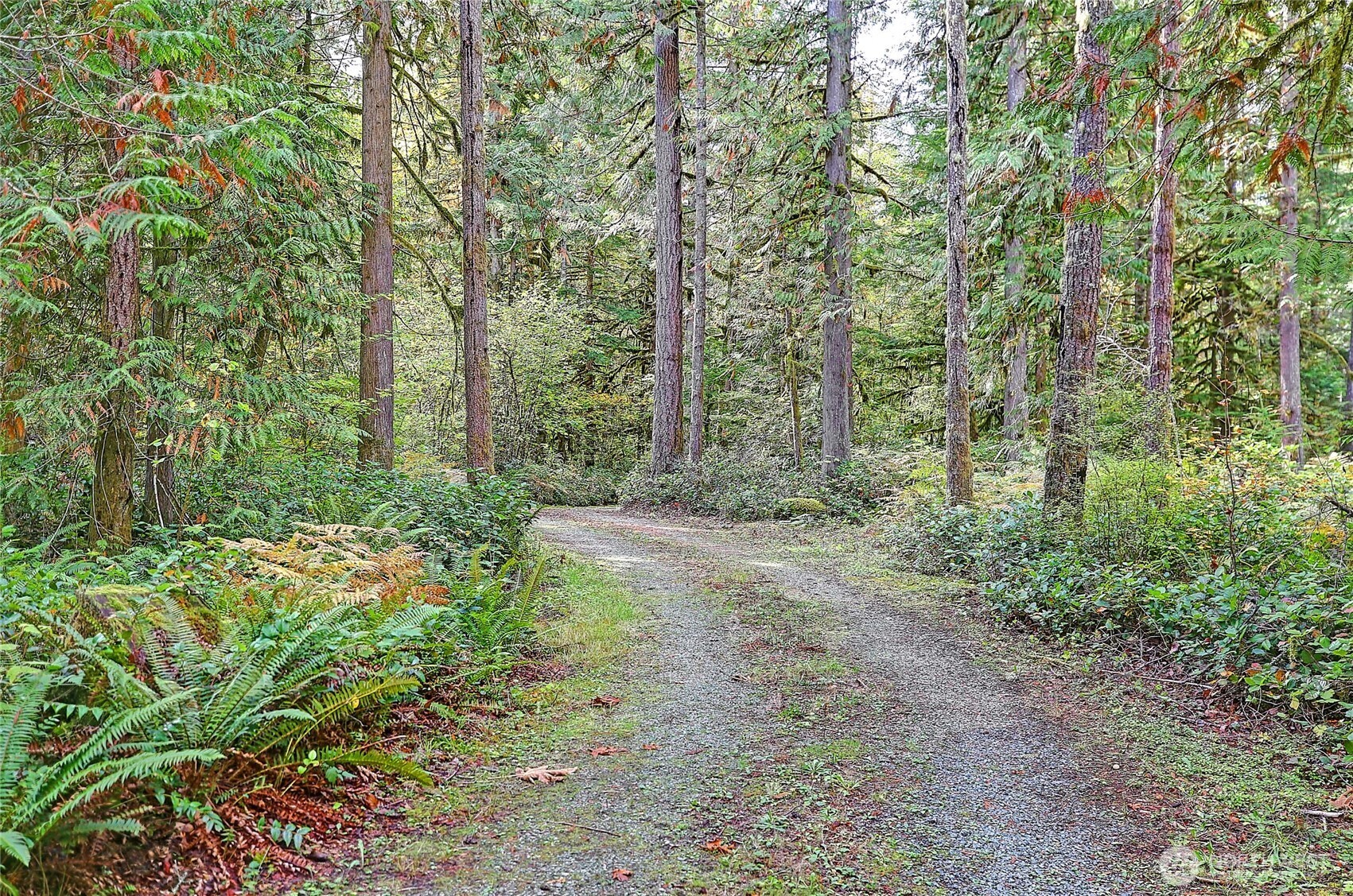 45249 North Brooks Road , Concrete, WA 98327