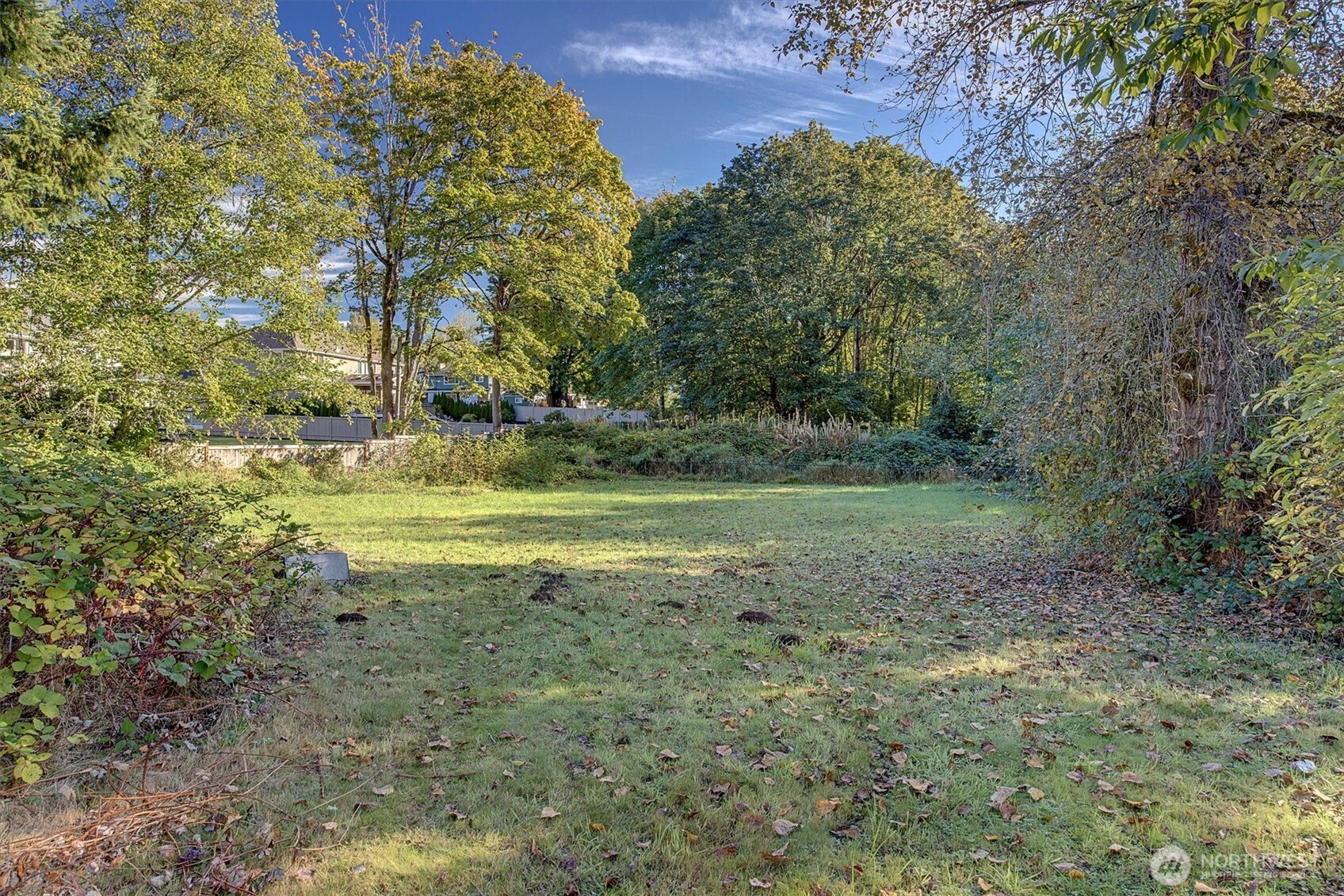 14024 169th Avenue SE, Renton, WA 98059-7517
