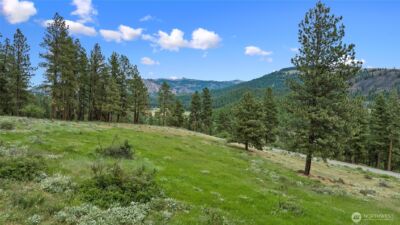 0 2B Swauk Pines Road , Cle Elum, WA 98922 - Photo 13