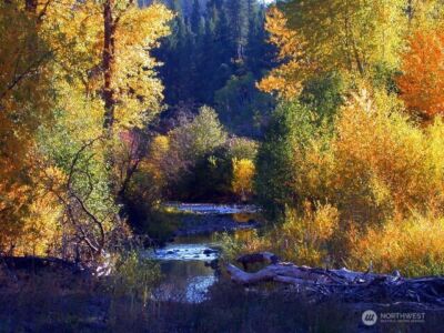 0 2B Swauk Pines Road , Cle Elum, WA 98922 - Photo 16