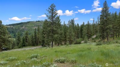 0 2B Swauk Pines Road , Cle Elum, WA 98922 - Photo 3