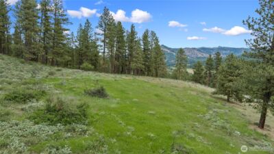 0 2B Swauk Pines Road , Cle Elum, WA 98922 - Photo 4
