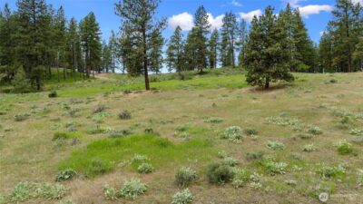 0 2B Swauk Pines Road , Cle Elum, WA 98922 - Photo 5