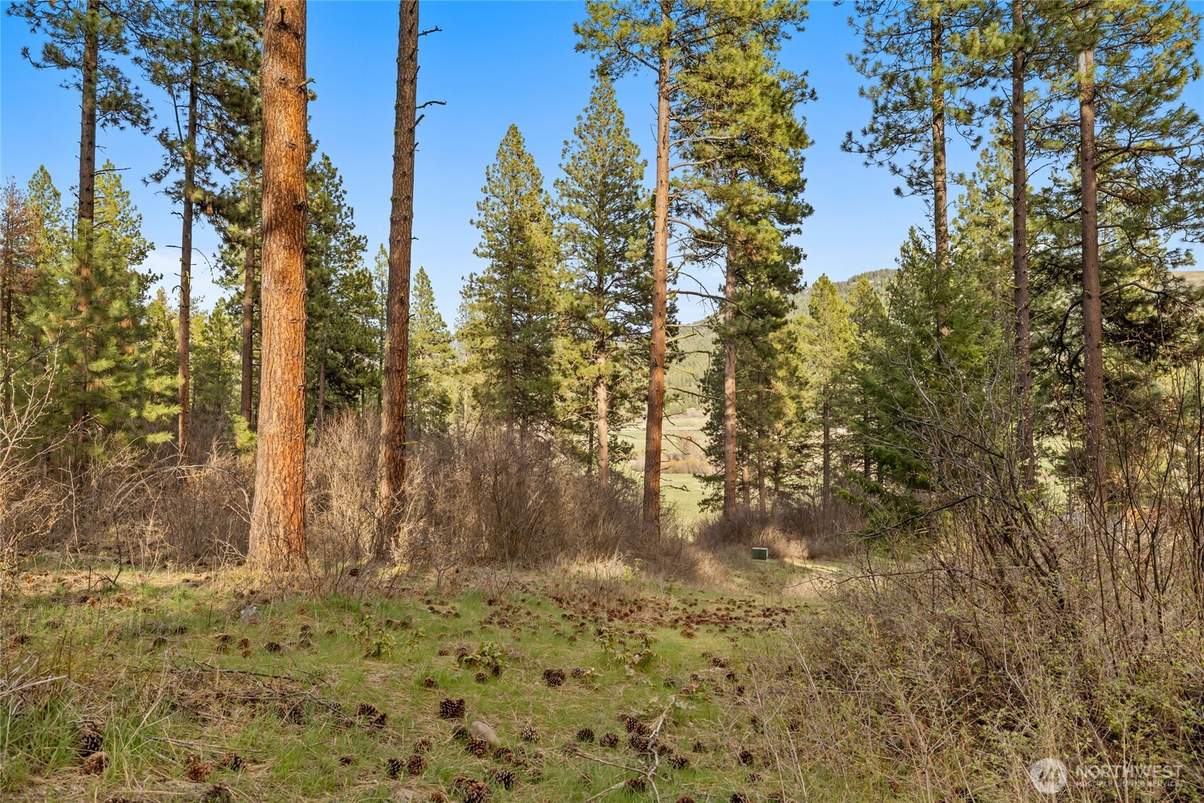 250 Fir Tree Drive , Cle Elum, WA 98922