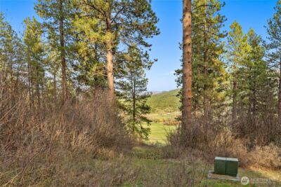 250 Fir Tree Drive , Cle Elum, WA 98922 - Photo 2