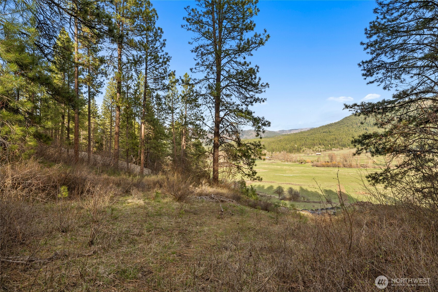 250 Fir Tree Drive , Cle Elum, WA 98922