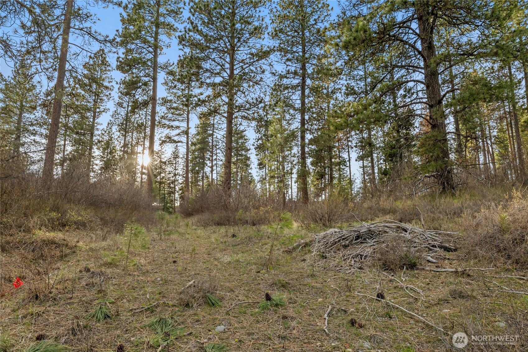 250 Fir Tree Drive , Cle Elum, WA 98922