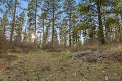 250 Fir Tree Drive , Cle Elum, WA 98922 - Photo 4