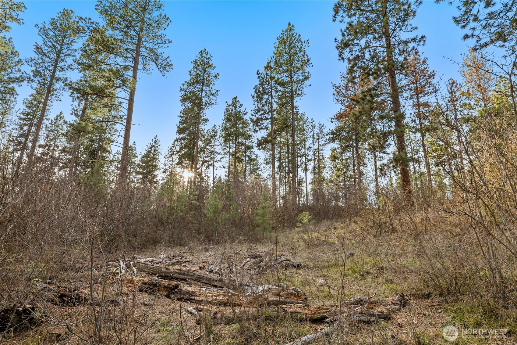 250 Fir Tree Drive , Cle Elum, WA 98922