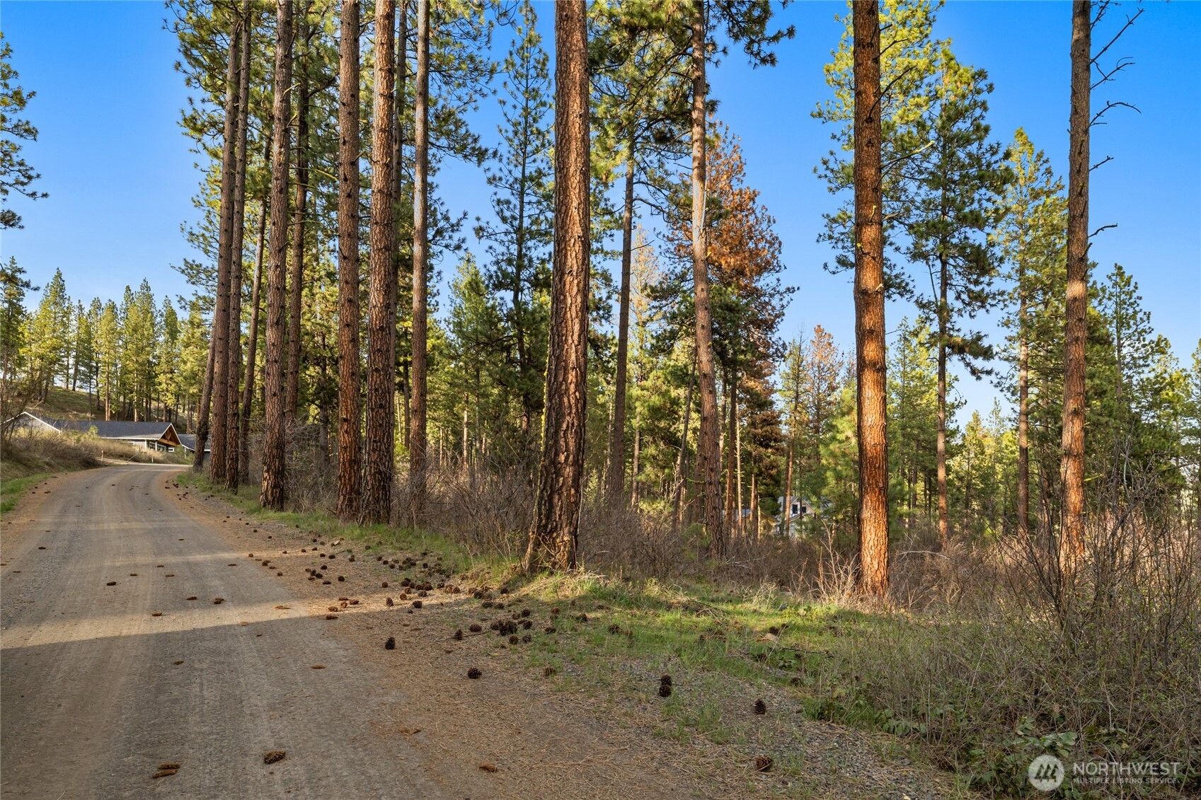 250 Fir Tree Drive , Cle Elum, WA 98922