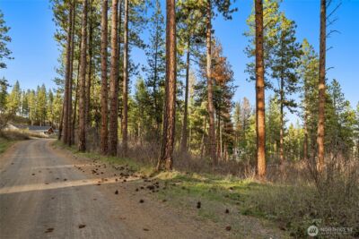 250 Fir Tree Drive , Cle Elum, WA 98922 - Photo 6