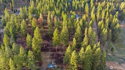 250 Fir Tree Drive , Cle Elum, WA 98922 - Photo 7