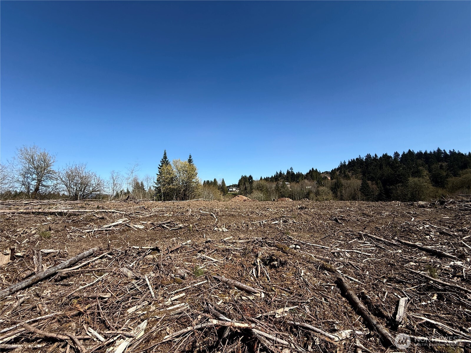 559 Kool Road , Kelso, WA 98626