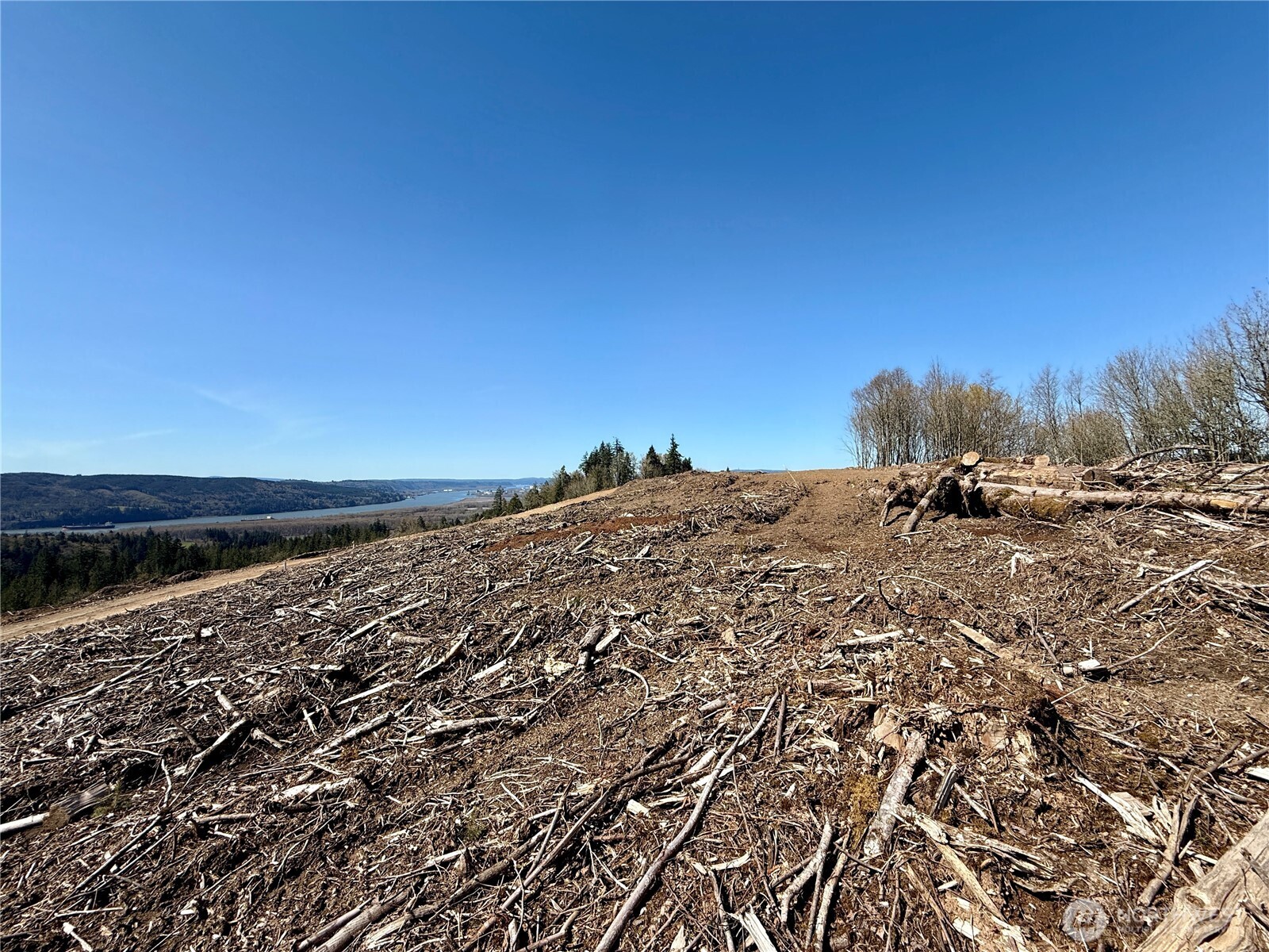 559 Kool Road , Kelso, WA 98626