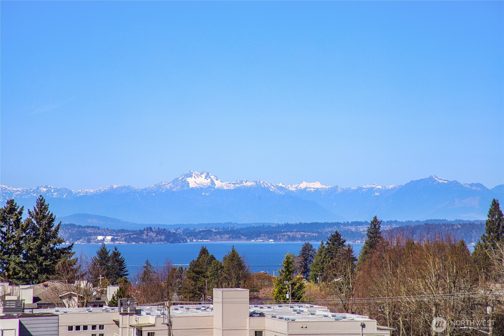 6318 41st Avenue SW #A, Seattle, WA 98136