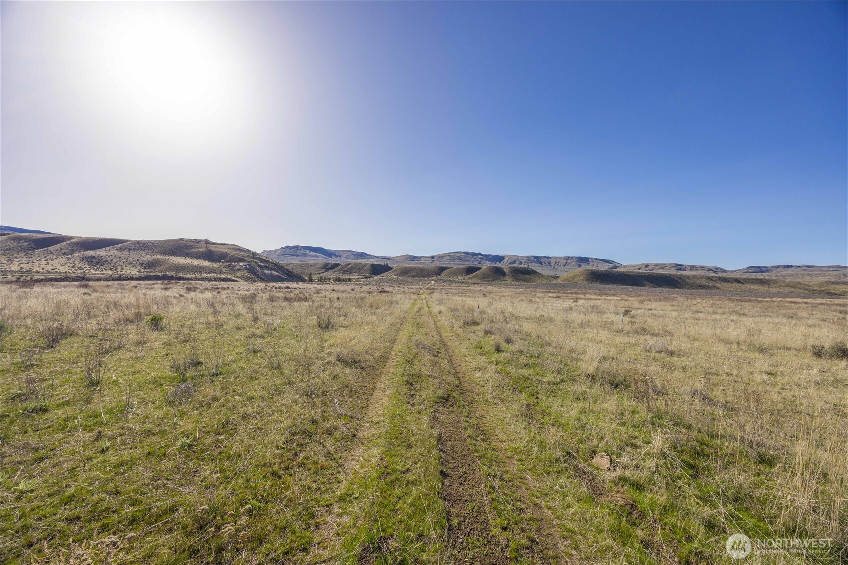 1163 Strahl Canyon Road , Grand Coulee, WA 99133