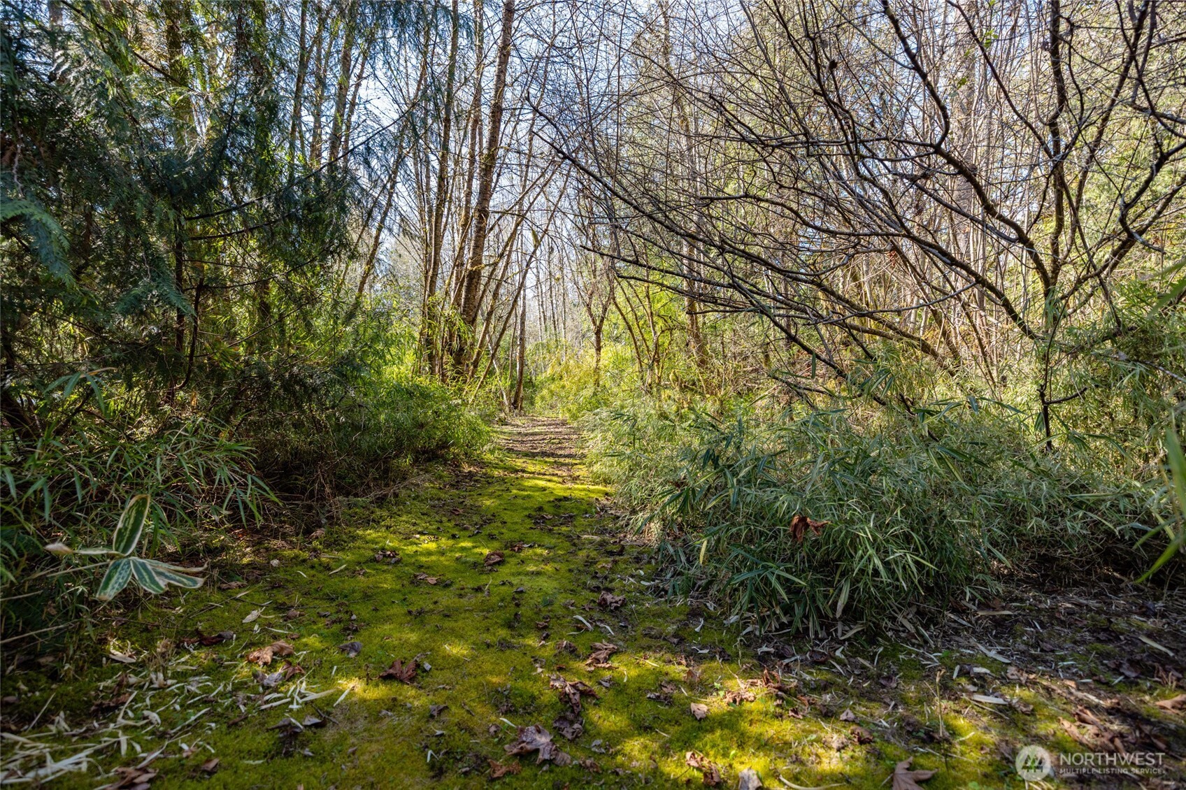 7595 Pressentin Court , Concrete, WA 98237
