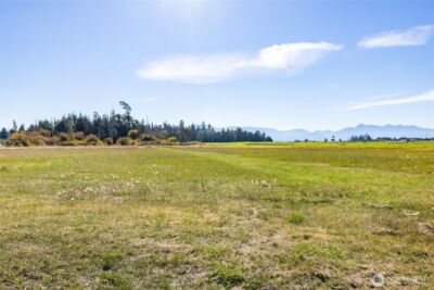 982 E Anderson Road , Sequim, WA 98382 - Photo 12