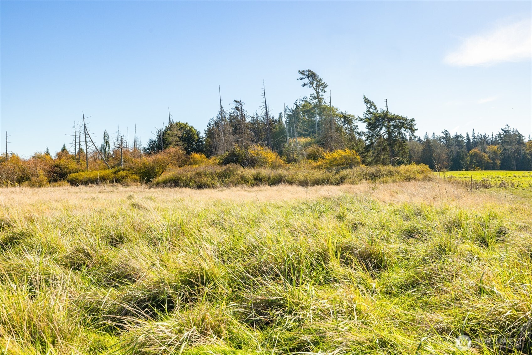 982 E Anderson Road , Sequim, WA 98382