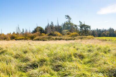 982 E Anderson Road , Sequim, WA 98382 - Photo 13