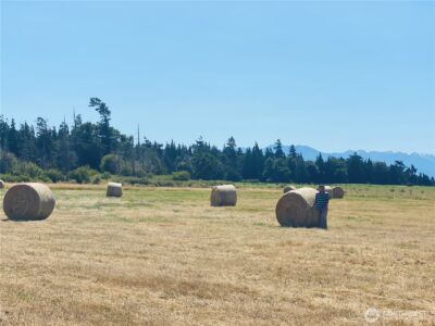 982 E Anderson Road , Sequim, WA 98382 - Photo 24