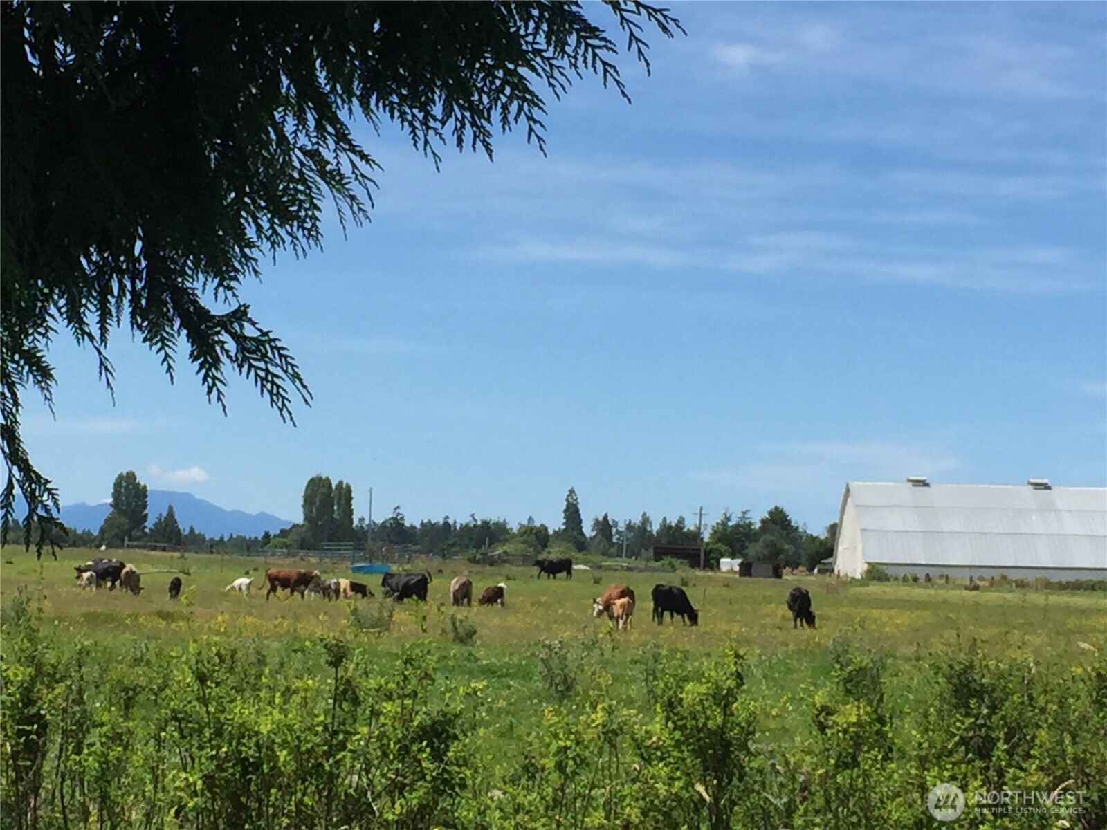 982 E Anderson Road , Sequim, WA 98382
