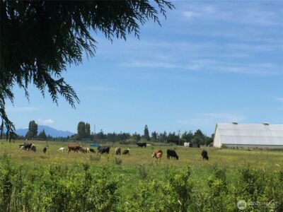 982 E Anderson Road , Sequim, WA 98382 - Photo 25
