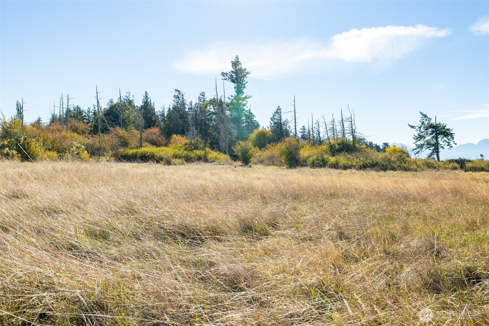 982 E Anderson Road , Sequim, WA 98382